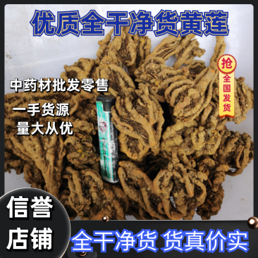 优质黄莲-全干净货黄莲-中药材批发零售一手货源量大从优，