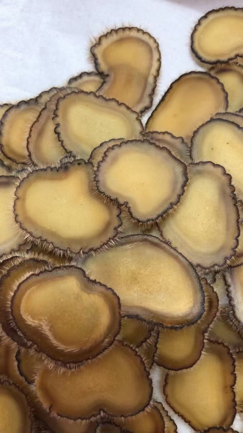 【需要一定要私聊我】长白山鹿茸片，鲜的，干的，切片都有
