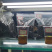 俄罗斯进口亚麻籽天津港