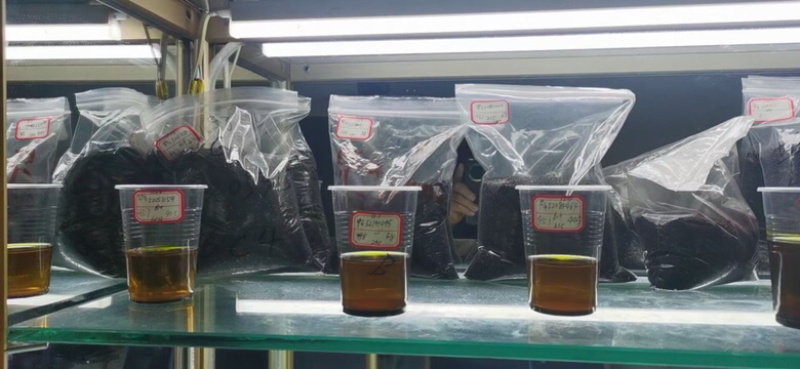 俄罗斯进口亚麻籽天津港
