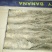 山东济宁白玉山药种大量现货，，质量不错品种纯，白玉豆苗