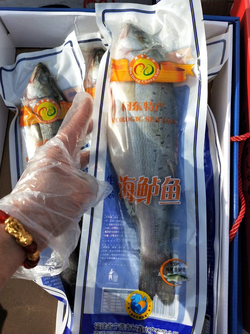 海鲈鱼真空包装船冻及时蒜瓣肉一手货源无差价大量供应