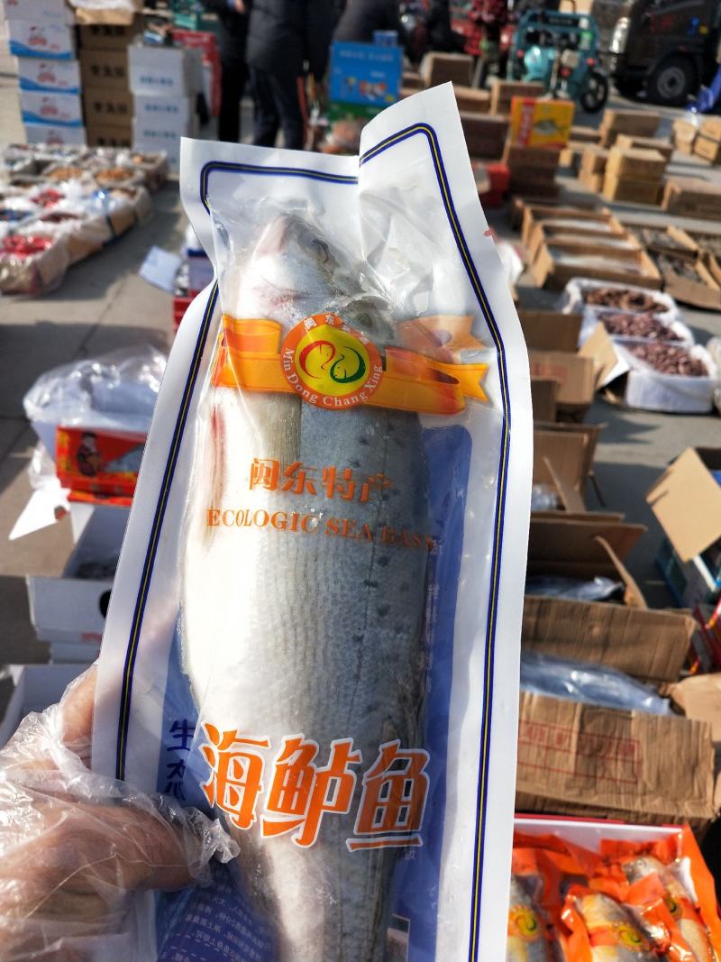 海鲈鱼真空包装船冻及时蒜瓣肉一手货源无差价大量供应