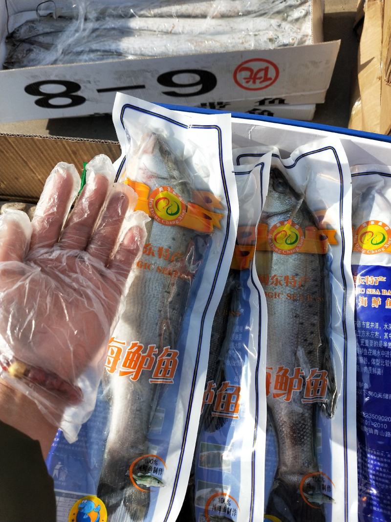 海鲈鱼真空包装船冻及时蒜瓣肉一手货源无差价大量供应