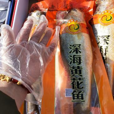 深海黄花鱼真空包装4条装5斤左右一手货源产地直发