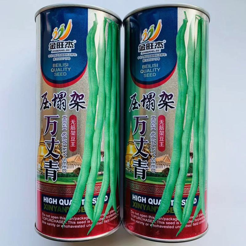 四季豆种子压塌架万丈青无筋架豆王中晚熟荚浅绿色抗病力强