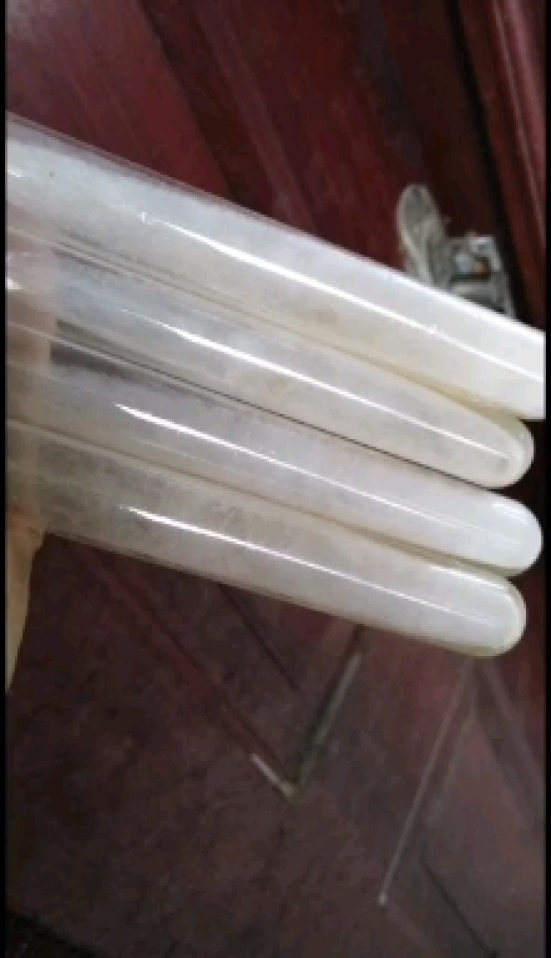 羊肚菌菌种试管母种原种栽培种