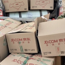 【放心苗】商薯苗，西瓜红苗，板栗，商薯19种苗，白哈密