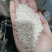 江苏大米普梗大品牌带报告