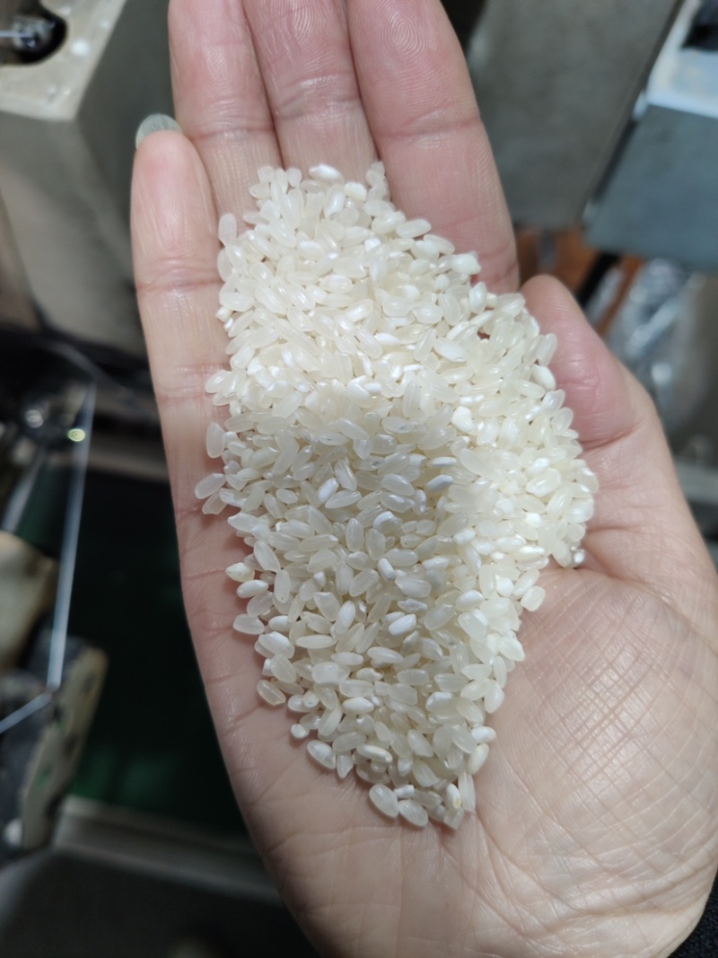 江苏大米普梗大品牌带报告