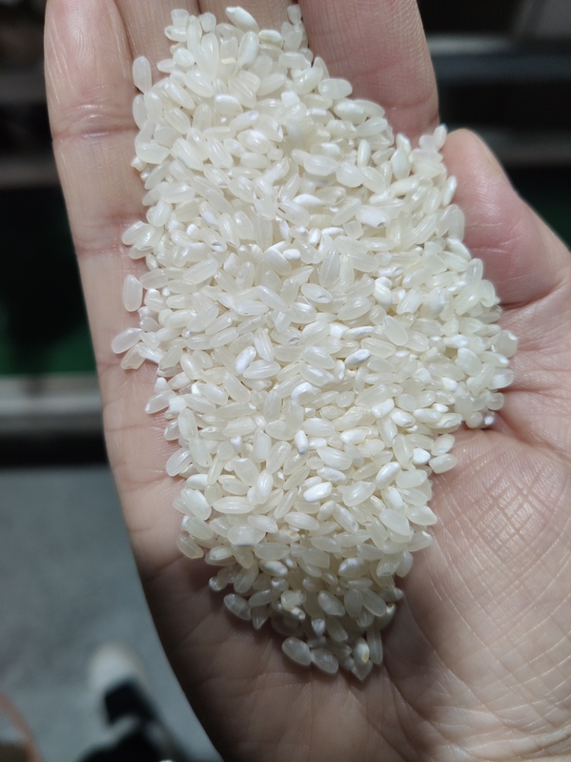 江苏大米普梗大品牌带报告