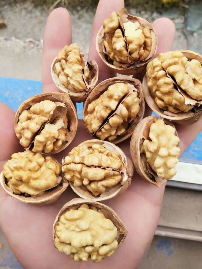 新疆纸皮核桃，口感香，果实饱满