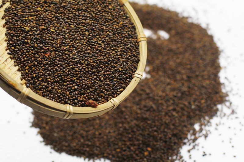 沙棘籽种中药材甘肃野生沙棘籽小果批量走货按量定价量大价优