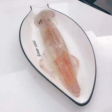 鱿鱼、大管、手钓活鱿鱼、料理刺身店、酒店、会所。。