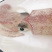 鱿鱼、大管、手钓活鱿鱼、料理刺身店、酒店、会所。。