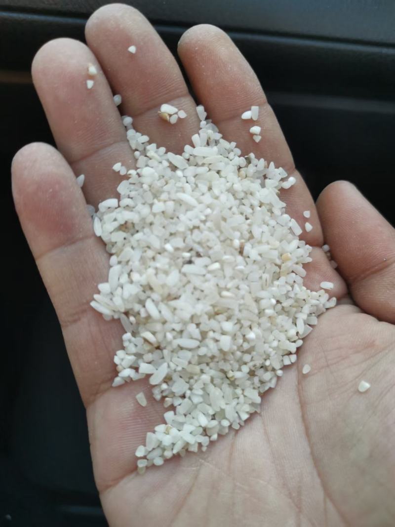进口，碎大米，硬米。