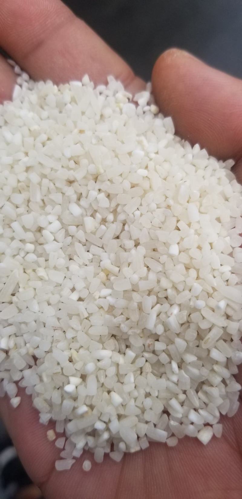 进口，碎大米，硬米。
