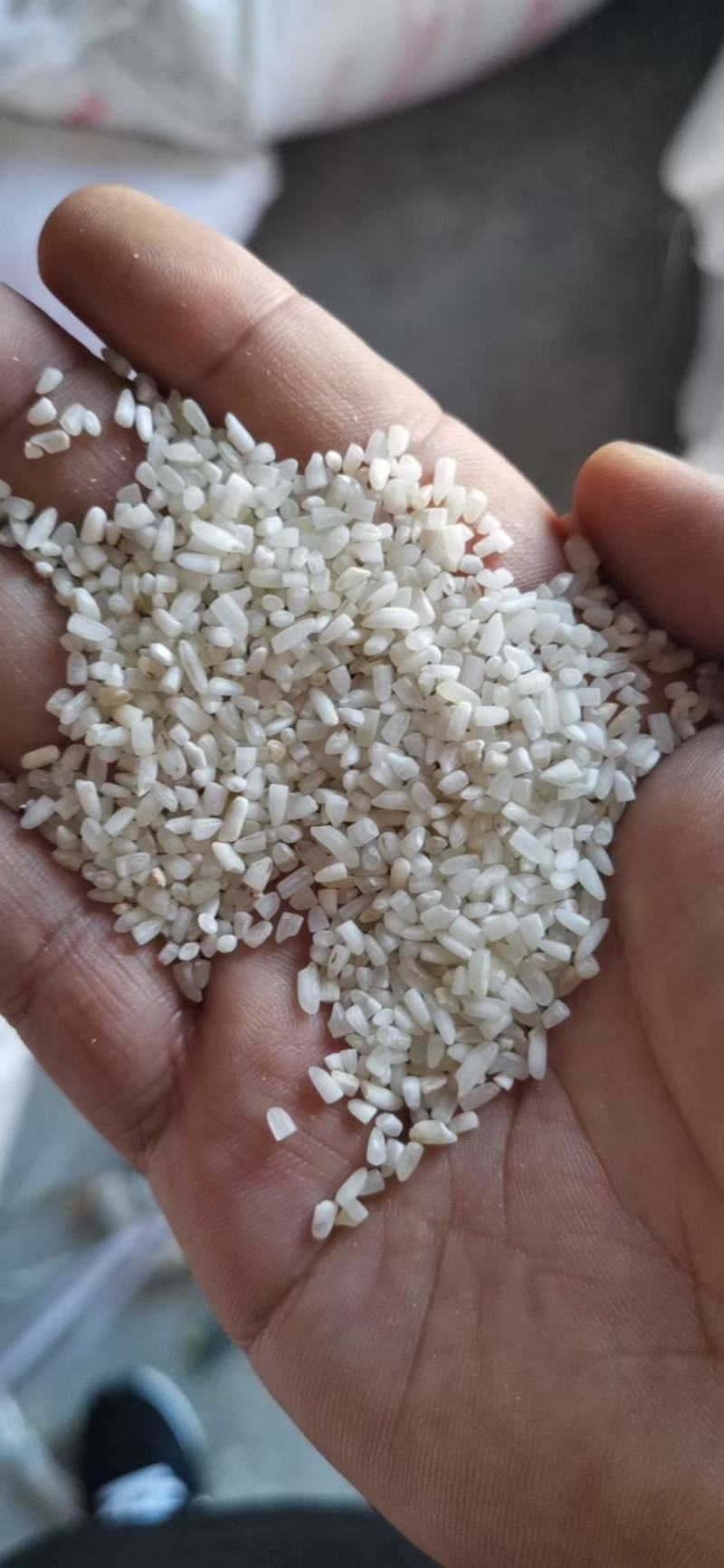 进口，碎大米，硬米。