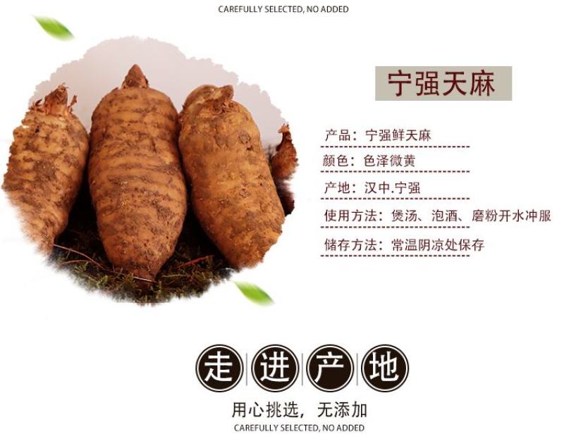 天麻鲜天麻3斤宁强高山树林冬麻非云南天麻电商一件代作专拍