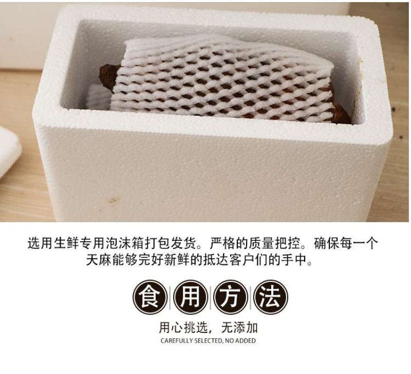天麻鲜天麻3斤宁强高山树林冬麻非云南天麻电商一件代作专拍