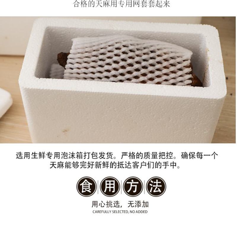 天麻鲜天麻5斤宁强高山树林冬麻非云南天麻电商一件代发专拍