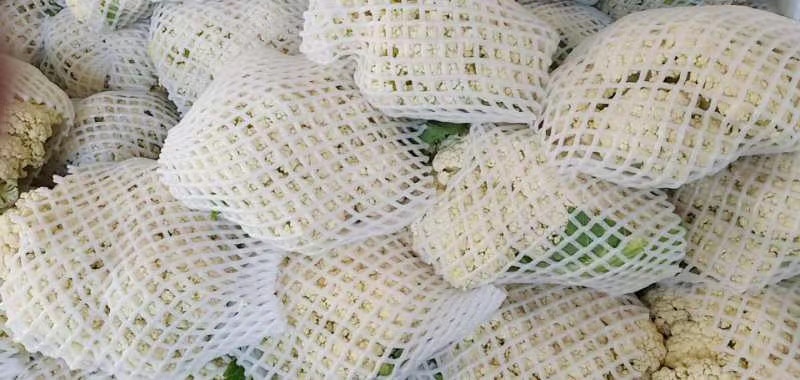 精品有机花适合走市场脱水，花菜基地全国闻名储存一条龙
