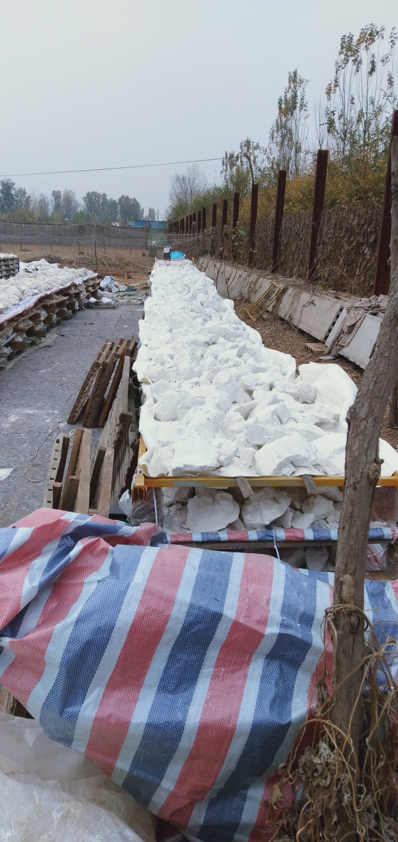 河北省石家庄红薯粉条