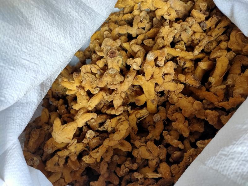 多花姜行黄精选货个子