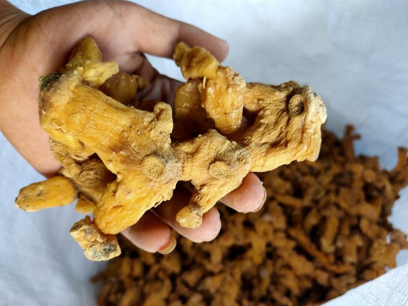 多花姜行黄精选货个子