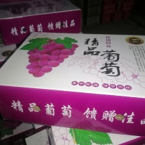 大量供应礼品盒葡萄，量大价格便宜基地直发