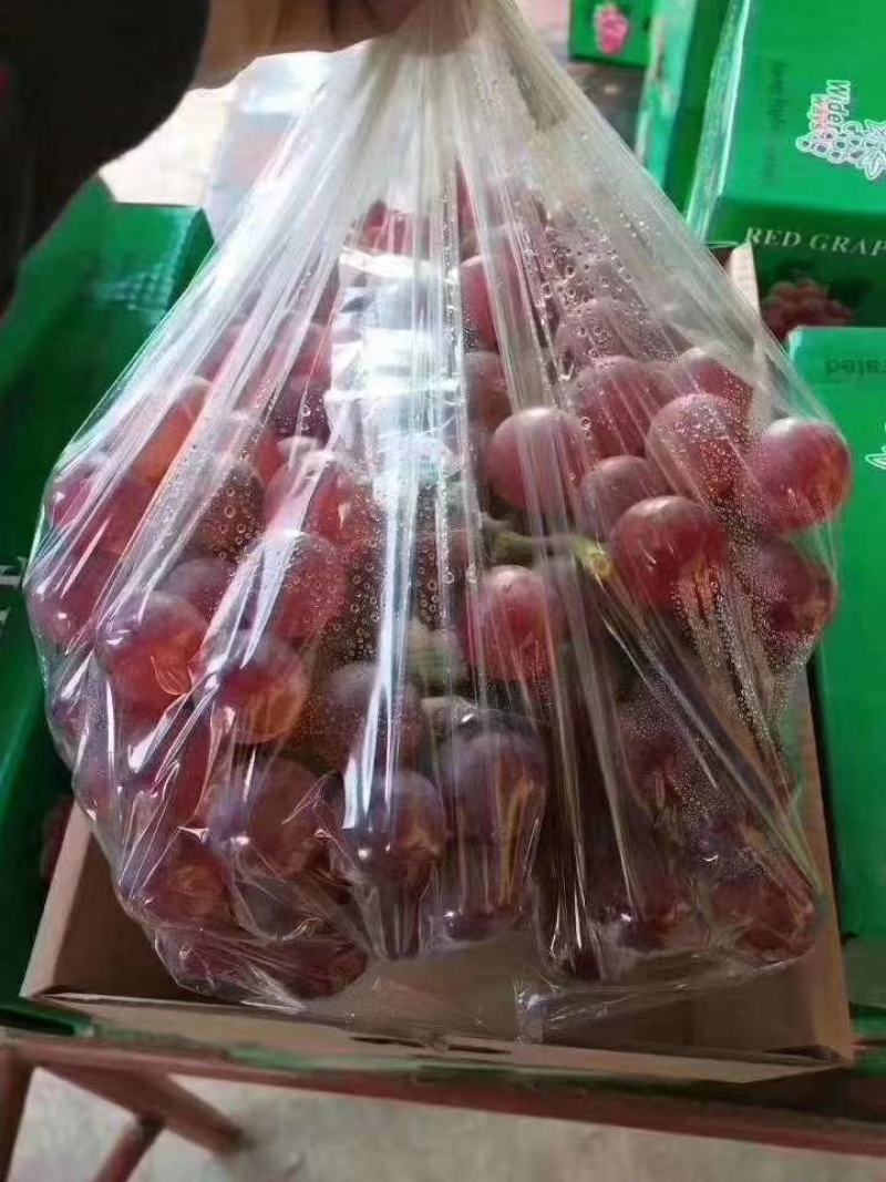 大量供应礼品盒葡萄，量大价格便宜基地直发