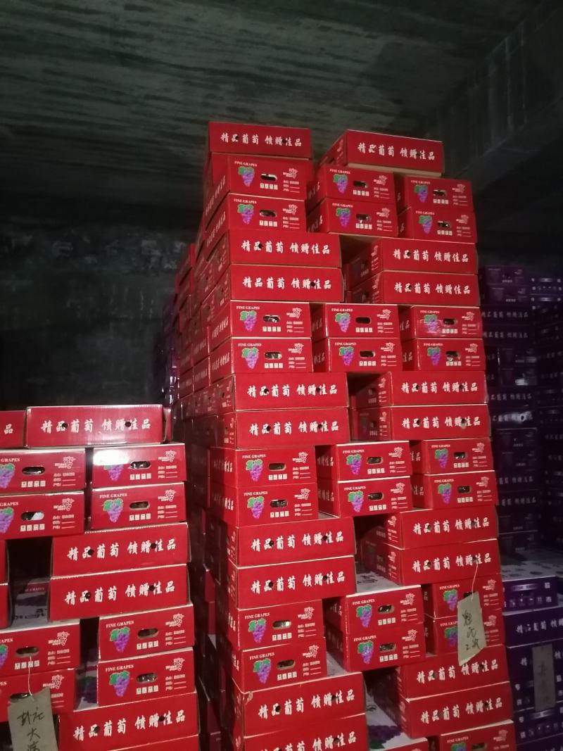 大量供应礼品盒葡萄，量大价格便宜基地直发