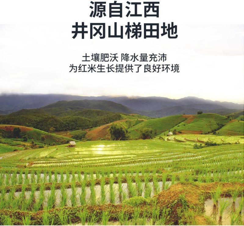 红米井冈山农家自产红大米2022年新米杂粮红香米红大米