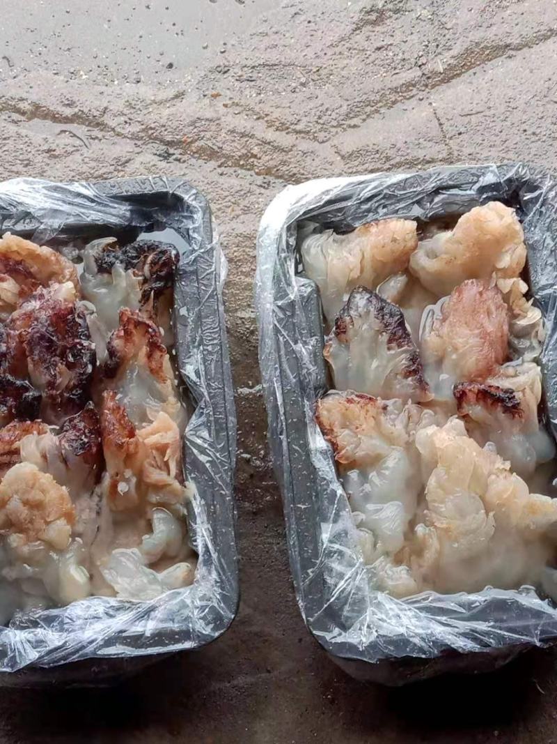 海蜇-海蜇头，桶装蛰头规格齐全，承接团购产地直发可长年供