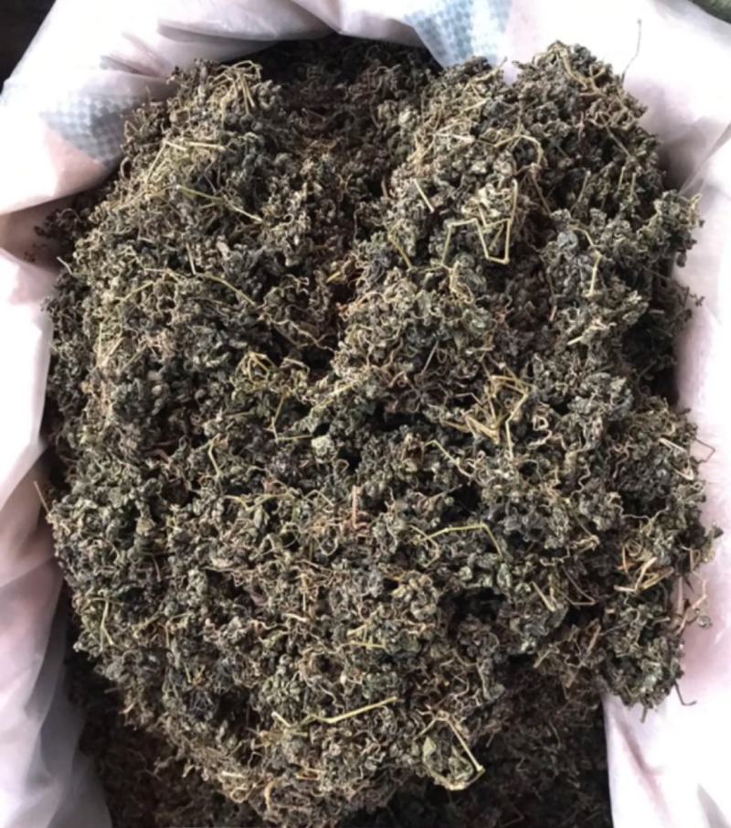振兴药材批发供应绞股蓝茶品质保证价格便宜