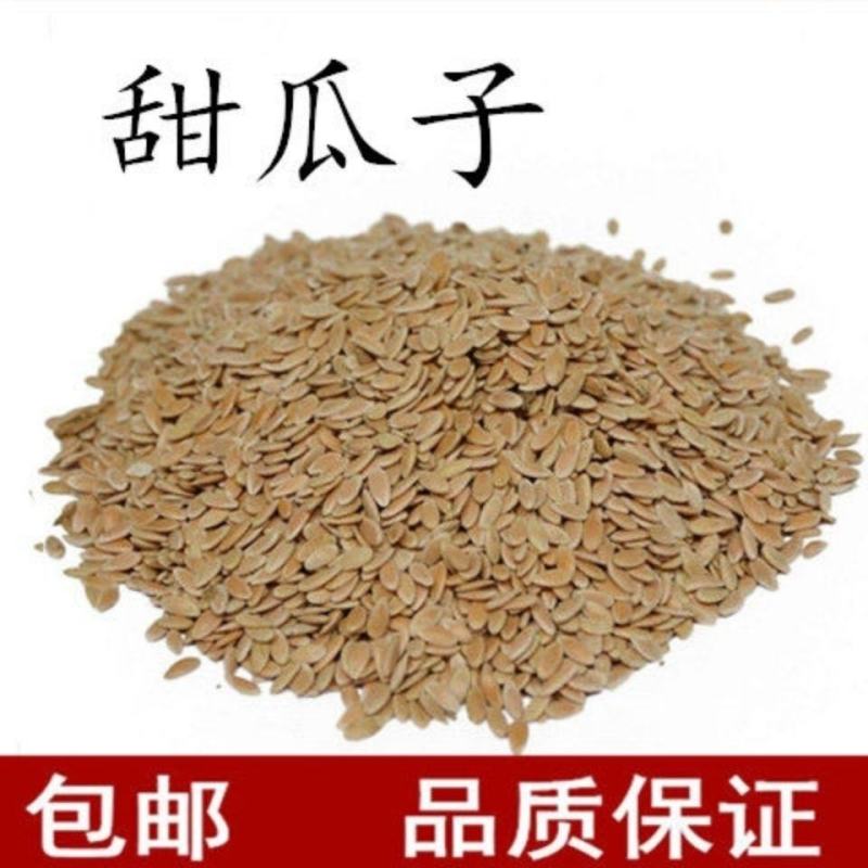 甜瓜子干度好质量优量大优惠产地山东