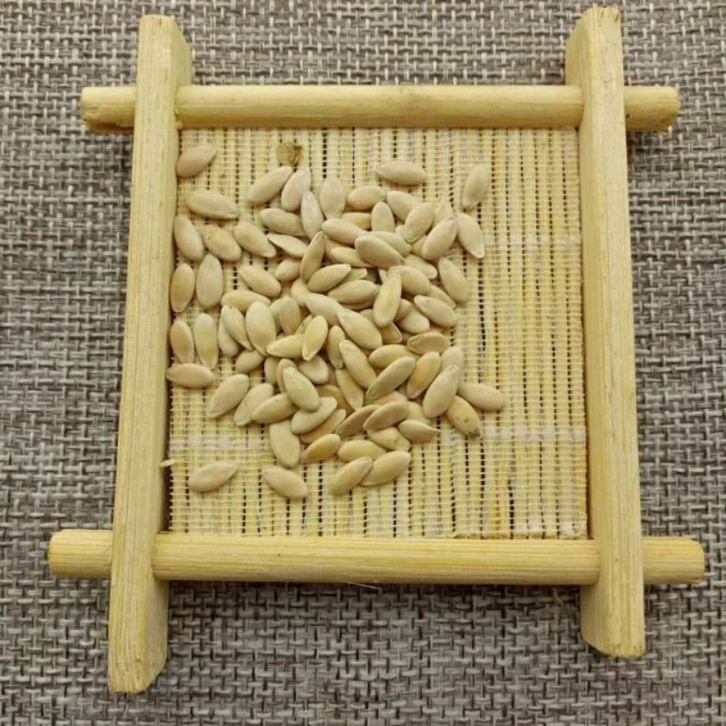 甜瓜子干度好质量优量大优惠产地山东