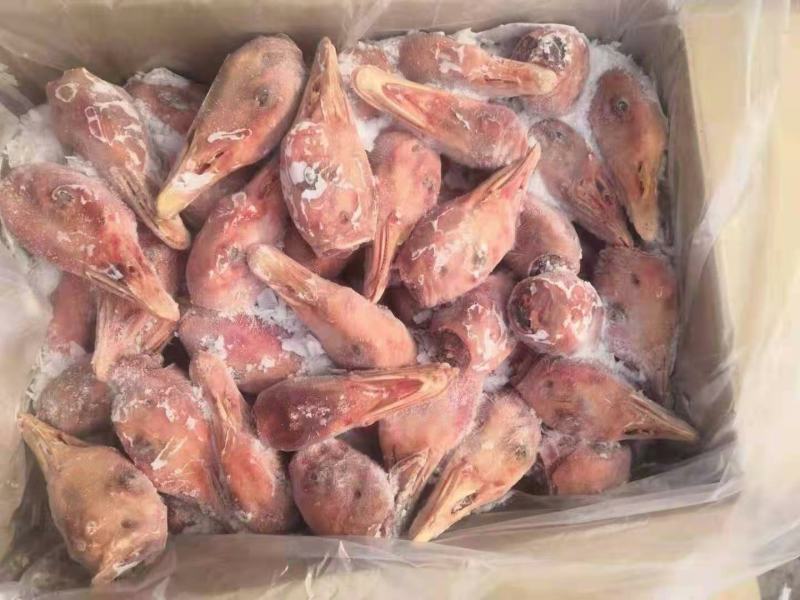 鹅头，白菜价，过年存货必备