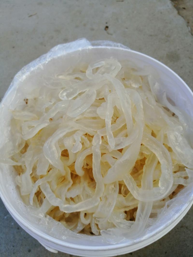 海蜇，海蛰丝爽脆可口自有加工厂价格便宜常年供货