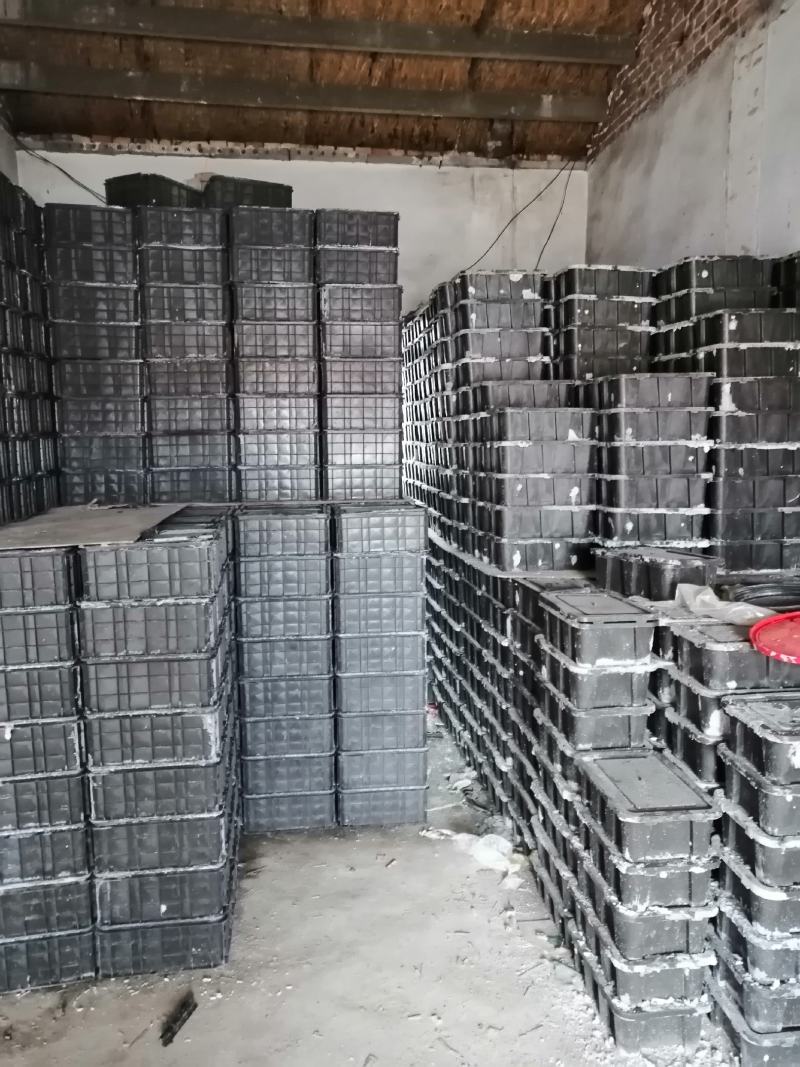 海蜇，海蛰丝爽脆可口自有加工厂价格便宜常年供货