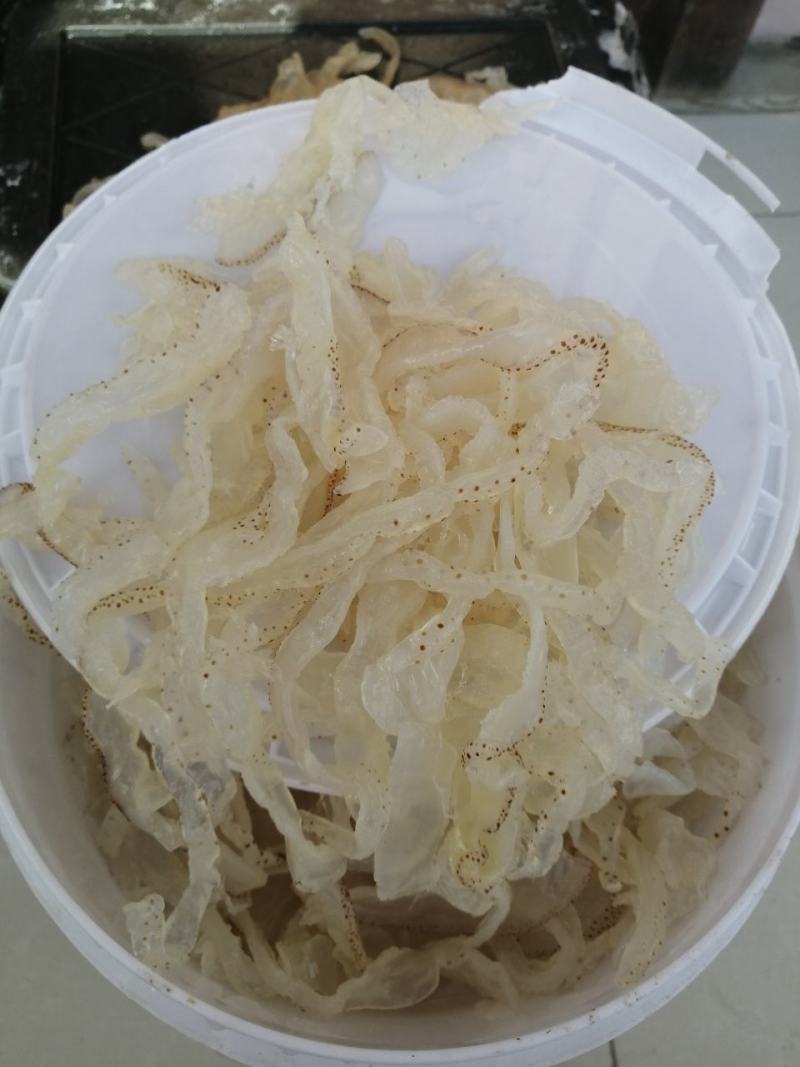 海蜇，海蛰丝爽脆可口自有加工厂价格便宜常年供货
