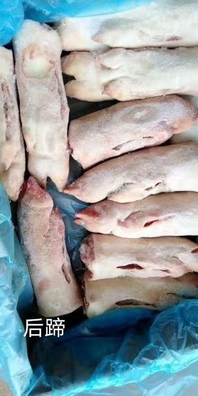 冷冻新鲜猪后蹄品质保证