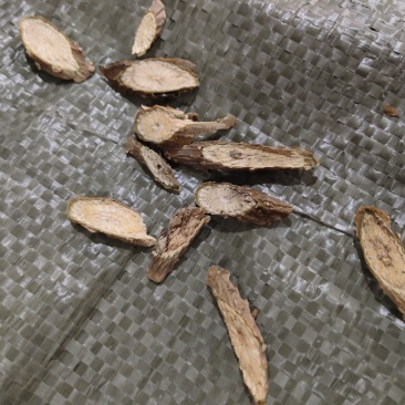 批发代购宽筋藤量大从优批发零售