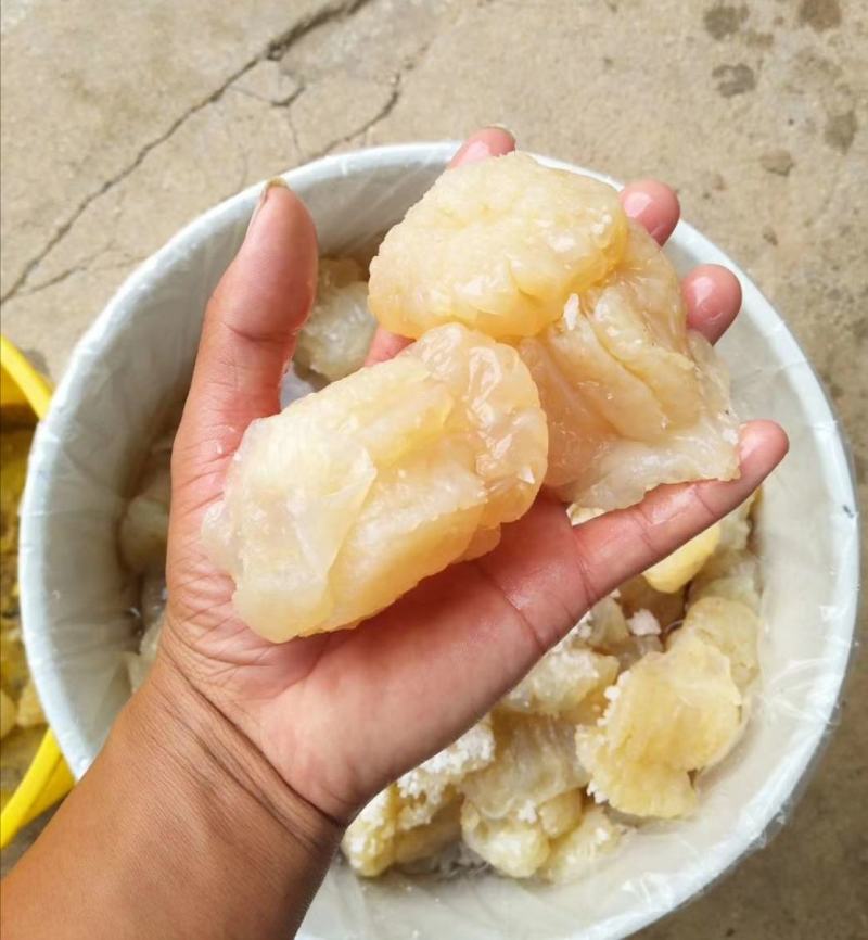 海蜇头，八爪头印尼头爽脆可口营养丰富，价格便宜，大量有货