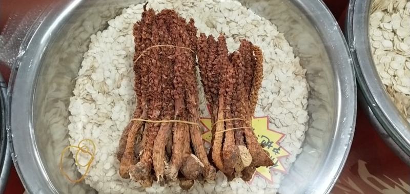 新货不老草草苁蓉泡酒料中药材列当大兴安岭野生30根