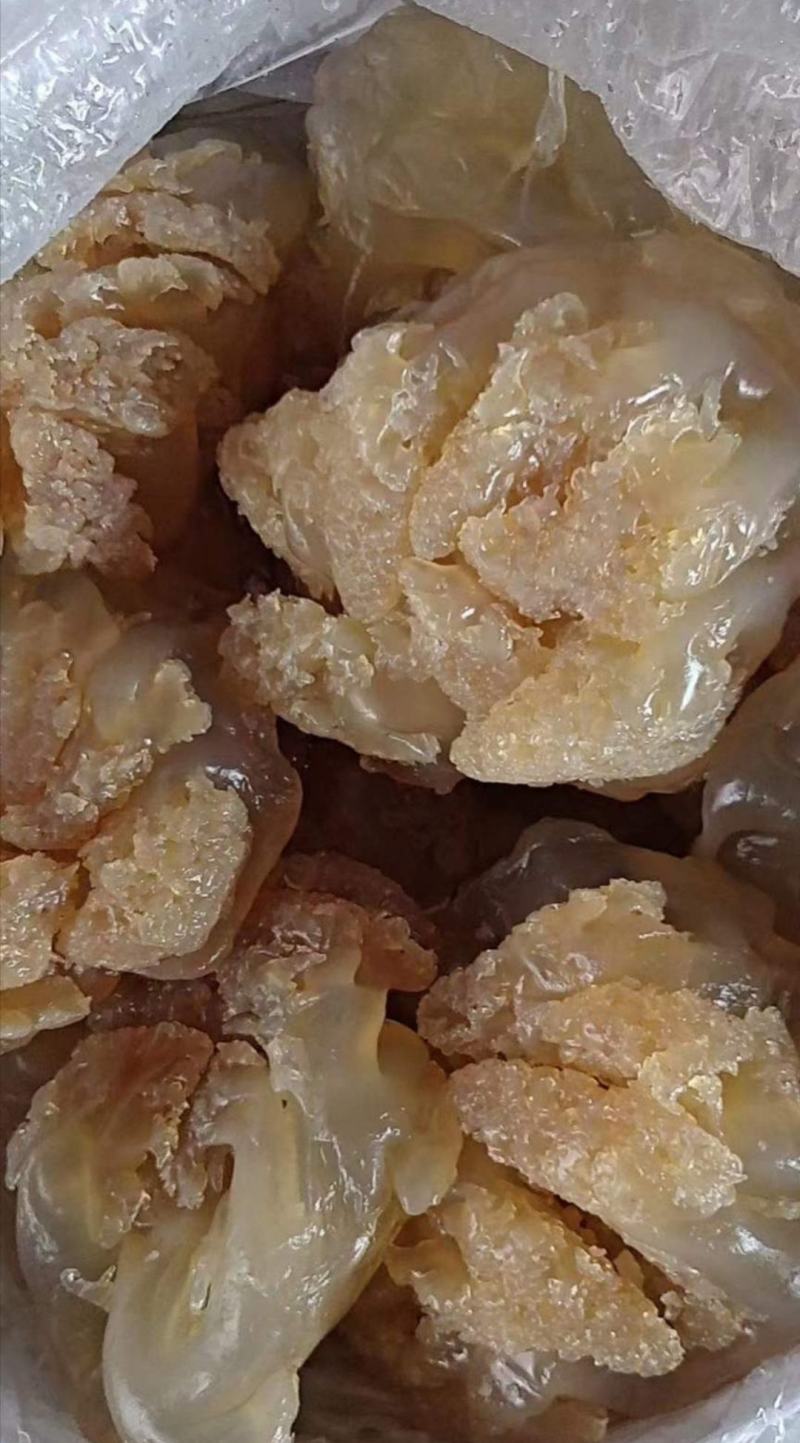 海蜇头，八爪头印尼头爽脆可口营养丰富，价格便宜，大量有货