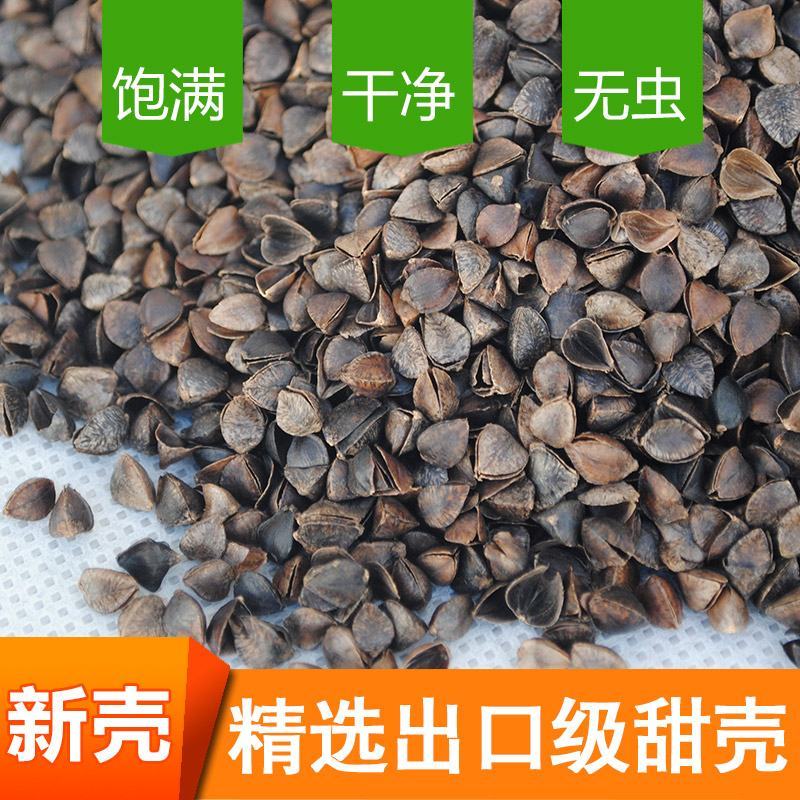 荞麦皮，头枕，无尘，无味，无虫，颗粒独整