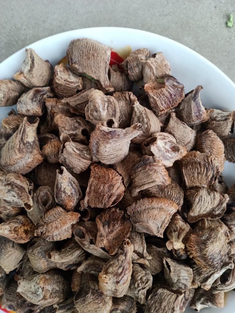 桑螵蛸山东，螳螂籽，新货无杂质，生货手选(二棉)
