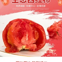 湖北长阳农家现摘普罗旺斯西红柿自然熟沙瓤水果番茄新鲜蔬菜
