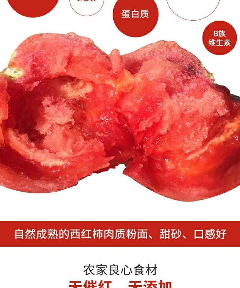 湖北长阳农家现摘普罗旺斯西红柿自然熟沙瓤水果番茄新鲜蔬菜